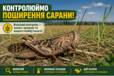 Сарана під контролем: як своєчасні обстеження запобігають її поширенню